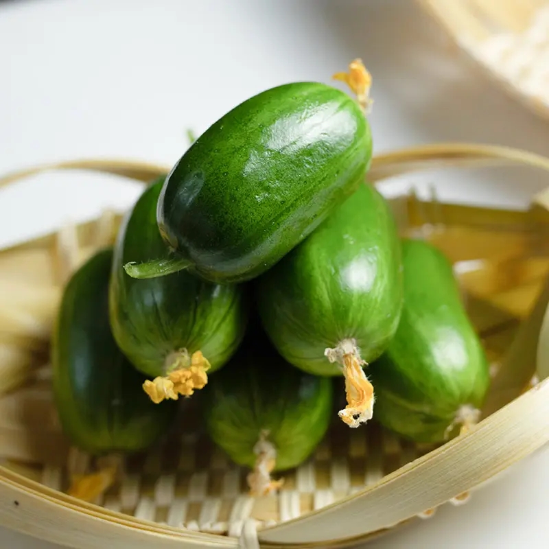 💥New for Spring 🥒Thumb Cucumber Seeds
